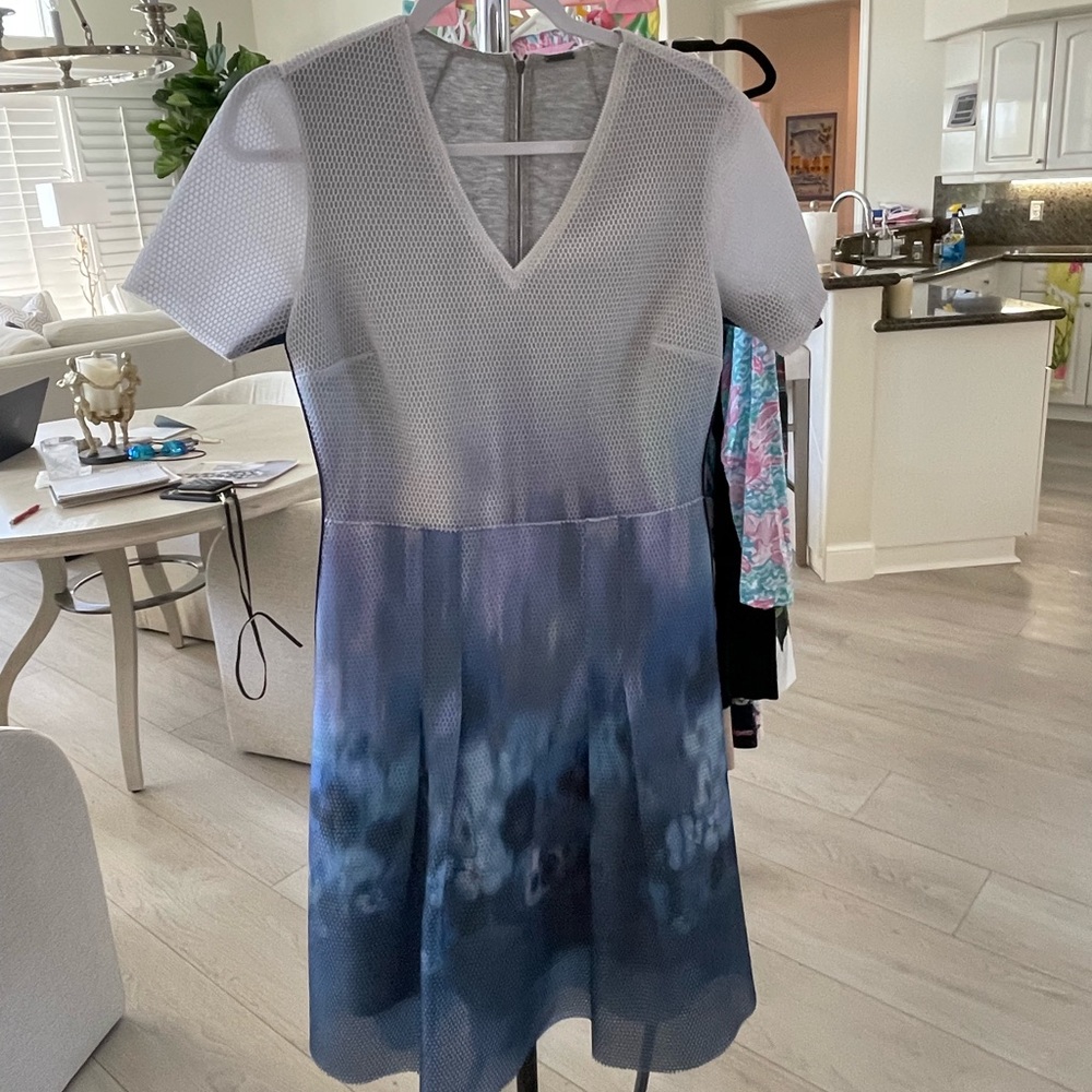 Mesh dress by Elie Tahari